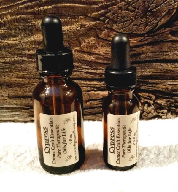 Cypress French Pure Therapeutic Essential Oil-0